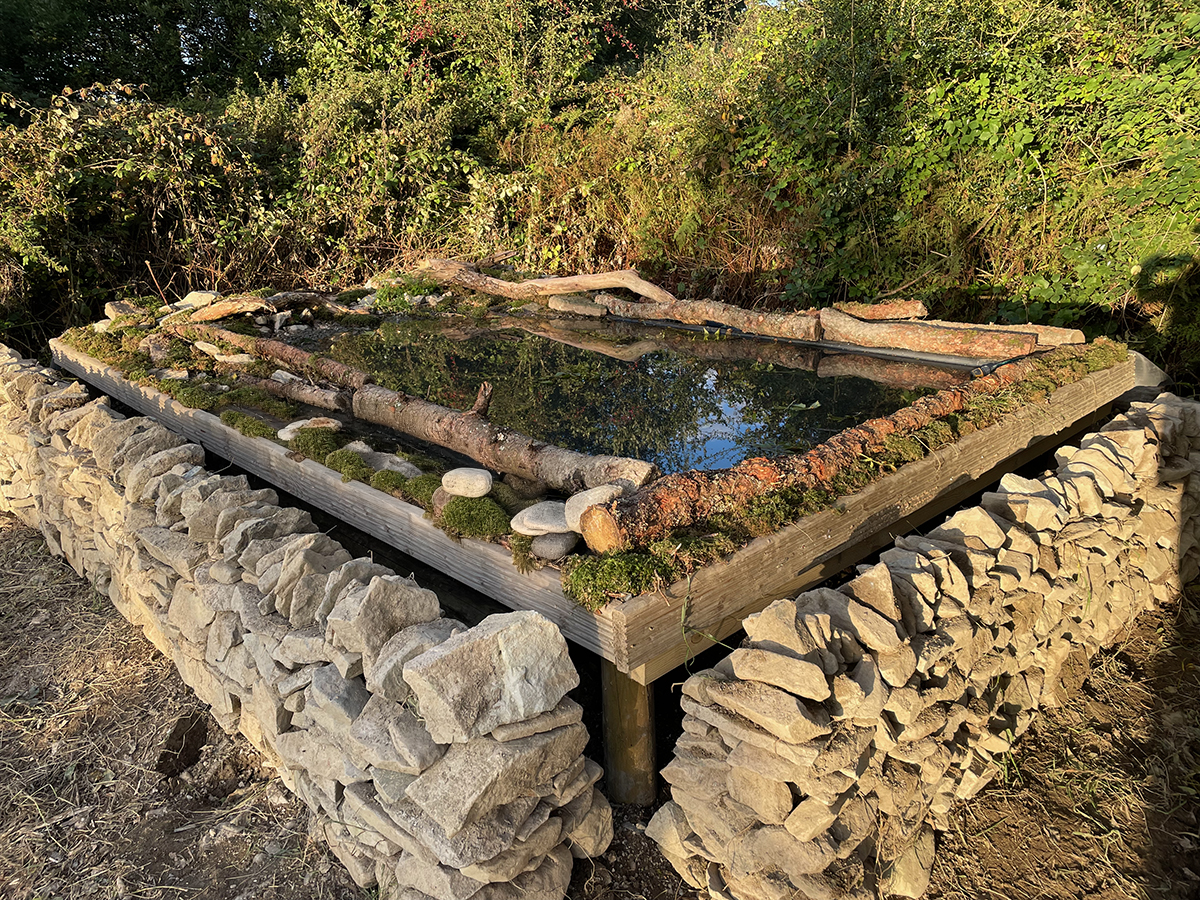 Bathing reflection pool