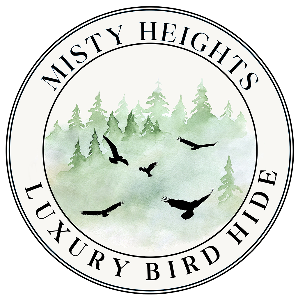 Misty Heights Bird Hide